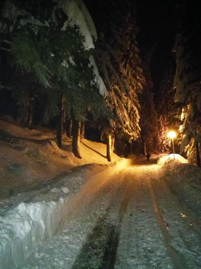Elitza Villa Pamporovo Esterno foto