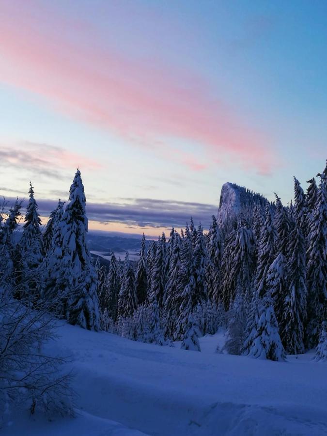 Elitza Villa Pamporovo Esterno foto