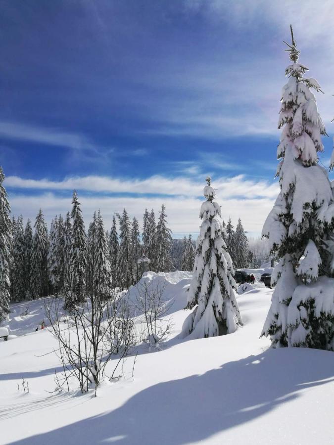 Elitza Villa Pamporovo Esterno foto