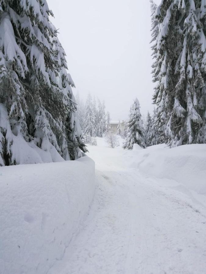 Elitza Villa Pamporovo Esterno foto