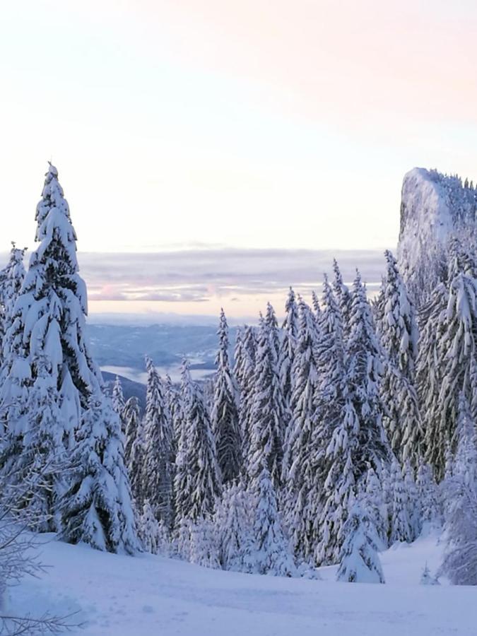 Elitza Villa Pamporovo Esterno foto