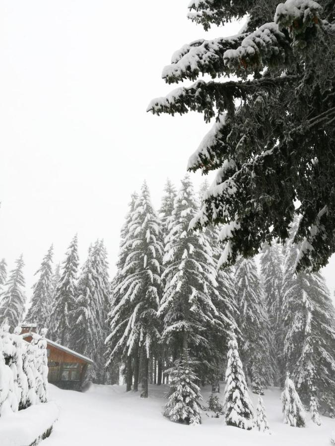 Elitza Villa Pamporovo Esterno foto