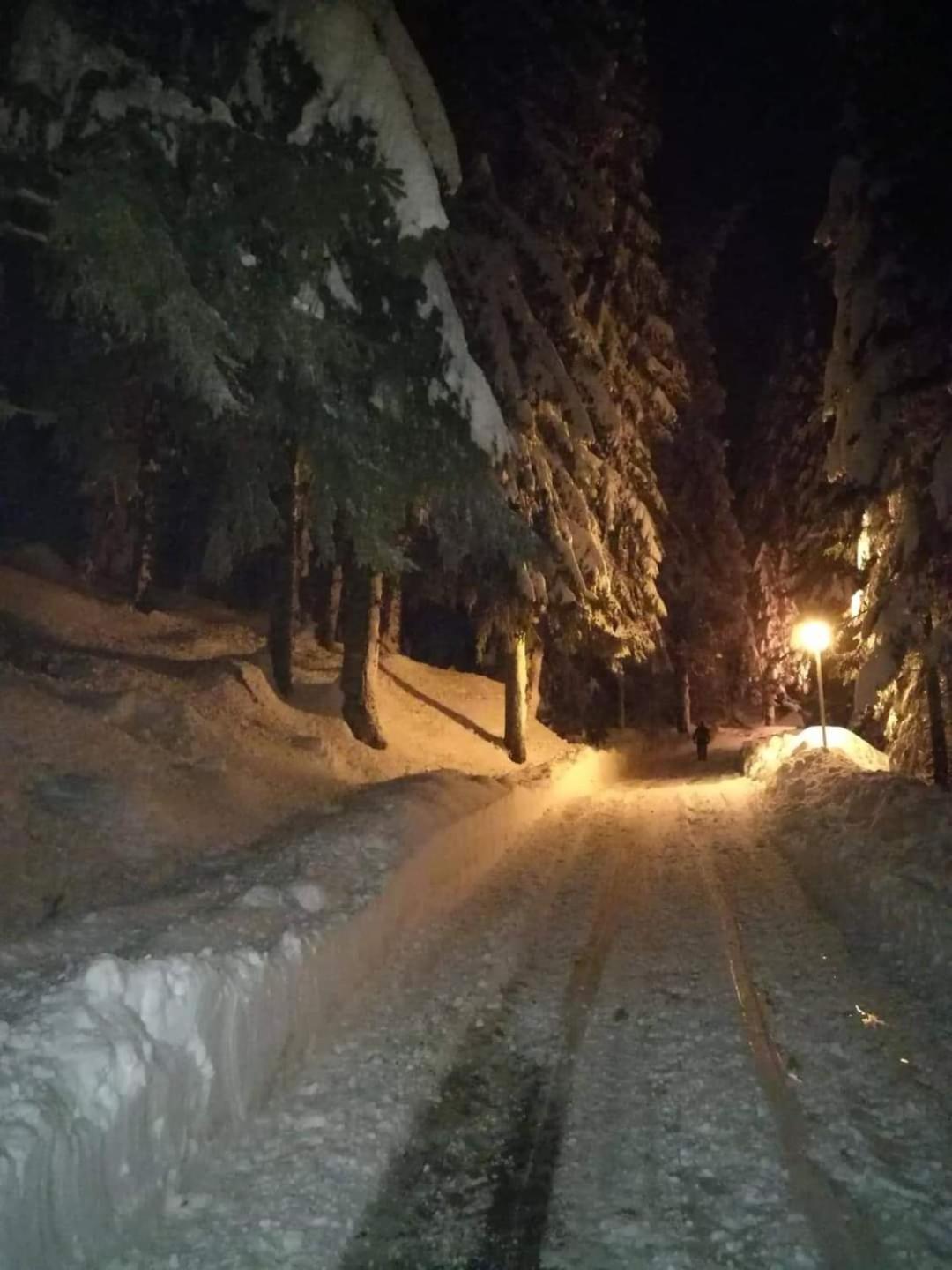 Elitza Villa Pamporovo Esterno foto
