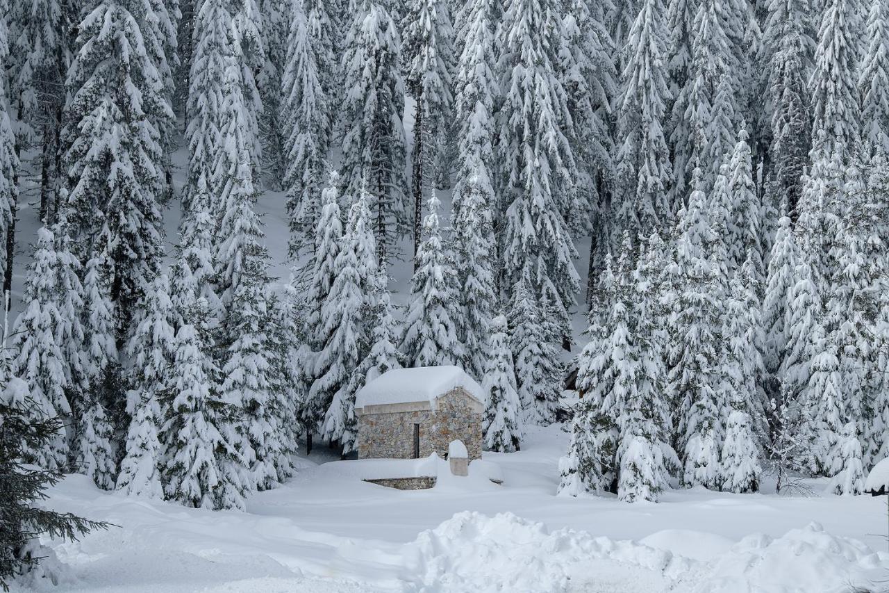 Elitza Villa Pamporovo Esterno foto